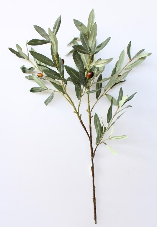 Olive Stem - Min 3